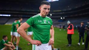 Limerick hurling star among six nominees for prestigious Sportsperson of the Year award
