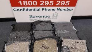 Revenue seize almost &euro;100k worth of drugs at Shannon Airport