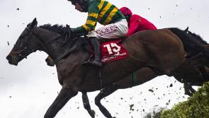Limerick trainers visit the winners' enclosure