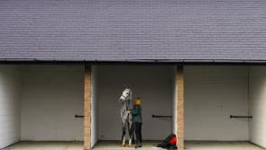 Horse Racing Ireland announce funding to increase stable yard sizes