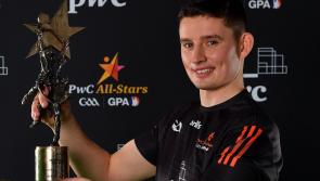 Limerick's Gear&oacute;id Hegarty 'hugely honoured' to win Hurler of the Year'