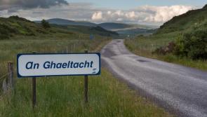 'I want to speak more Irish' - Further Education Minister set to take language classes