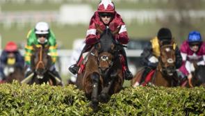 National hero Tiger ready to roll in BoyleSports Irish Grand National