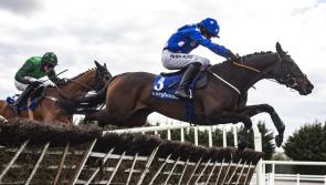 Winners alright for Limerick racing connections