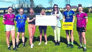 Limerick Camogie - Weekly News Update