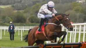 It's winners alright for Limerick racing enthusiasts