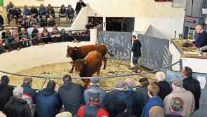McConalogue praises 'resilience' of mart staff as facemask rules come to an end