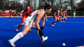 Limerick's Catholic Institute with two players named in Ireland's European Championships squad