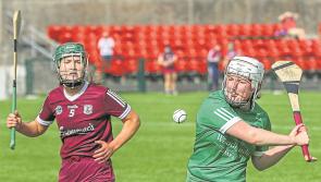 Fixture details for Limerick's Division 1 camogie league quarter-final
