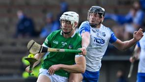 WATCH: Limerick's Kyle Hayes features in RTE Sport's exciting summer promo