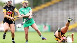 Tenacious Limerick give Kilkenny huge fright before losing out in league quarter-final