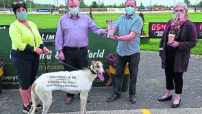 Blastoff Harry is Limerick's Golden Muzzle winner