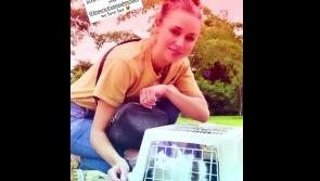 Famous singer makes trip to Limerick for 'purr-fect' addition to her family