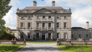 Limerick billionaire reportedly buys Laois mansion for whopping &euro;20 million 