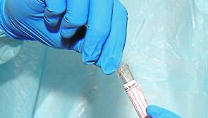 Over 10,000 positive Covid tests recorded over Bank Holiday weekend