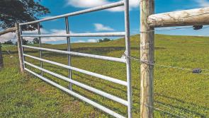 EXPLAINER: What is a "right of way" in Ireland? Here's all you need to know