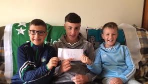 All-Ireland tickets fall out of the sky for Limerick brothers