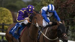 Bumper spell for Limerick racing connections