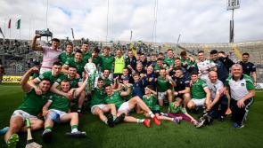 All-Ireland heroes back in action as Limerick GAA confirm 24 club hurling championship games