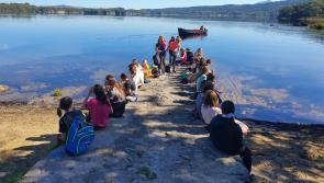 St Mary&rsquo;s Secondary School, Charleville  to host virtual Open Night on Monday, October 4