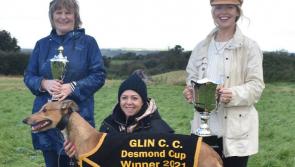 SLIDESHOW: Bexhill Flare wins Desmond Cup at Glin Coursing