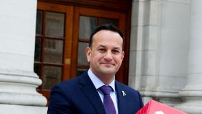 Tax breaks 'not designed to make working from home financially attractive' - Leo Varadkar