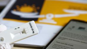 Antigen tests helped prevent spread of COVID-19 in meat plants, government official claims