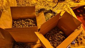 Garda&iacute; have seized &euro;150,000 worth of suspected cannabis in Monaghan