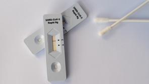 HSE launch antigen testing for close contacts of Covid-19