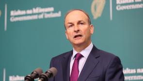 Senator slams government's 'confusing' approach to proposed bank holiday 