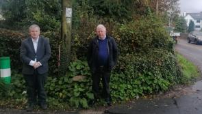 Limerick TD aims to tip the 'pole' at dangerous cross