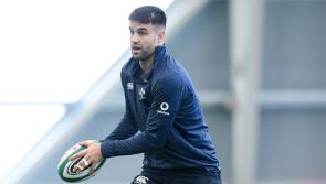 Two Munster Rugby players in Ireland team for Autumn Nations Series test against Japan