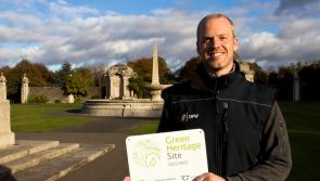Ireland&rsquo;s best public parks and gardens awarded green flags 