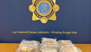Three men arrested after Garda&iacute; seized a cash sum of &euro;414,000