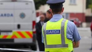 APPEAL: Garda&iacute; seek witnesses in relation to serious assault of a 51-year-old man
