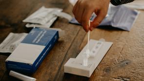 Antigen test available to primary school children from today