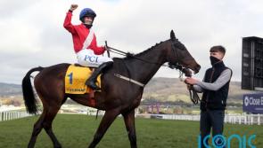 Cheltenham winner heads Willie Mullins John Durkan contingent at Punchestown 