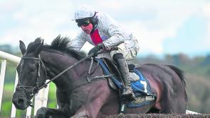 Betting Column: Nube Negra fancied to land Tingle Creek at Sandown