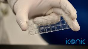 Groundbreaking test shows how well protected you are from Covid-19