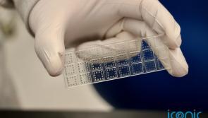 Researchers create rapid test that can identify antibody effectiveness against Covid-19 variants