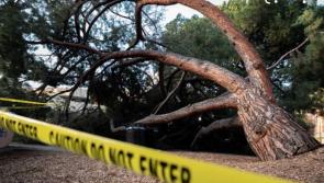 Batten down the hatches! Storms Dudley and Eunice are set to hit Ireland