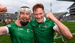  Champions Limerick smash all records with 12 players on the All Stars hurling team