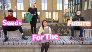 Huawei Ireland awards &euro;20,000 to Limerick STEM students