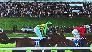 Under starter's orders for Limerick Christmas Racing Festival