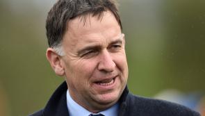 Horse racing body offers condolences after tragic death of Henry de Bromhead's teen son