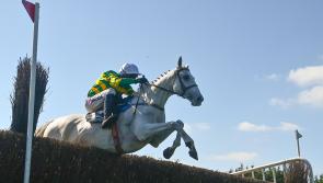 THE PUNTER'S EYE: Four horses worth a bet on New Year's Day