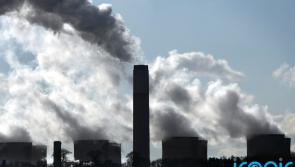 'Online actions have offline consequences' - Covid conspiracy groups may pivot to climate misinformation in 2022