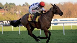 Gordon Elliott still favouring direct Festival route for Galvin