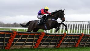 Scott not totally dismissing Lingfield hurdles run for Dashel Drasher
