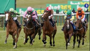 Williams waiting on Classic call for Desert Dreamer